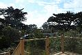 Carmel 10-30-08 039